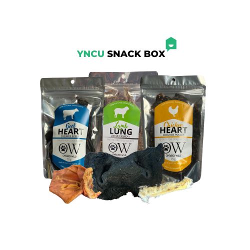 YNCU Snack Box