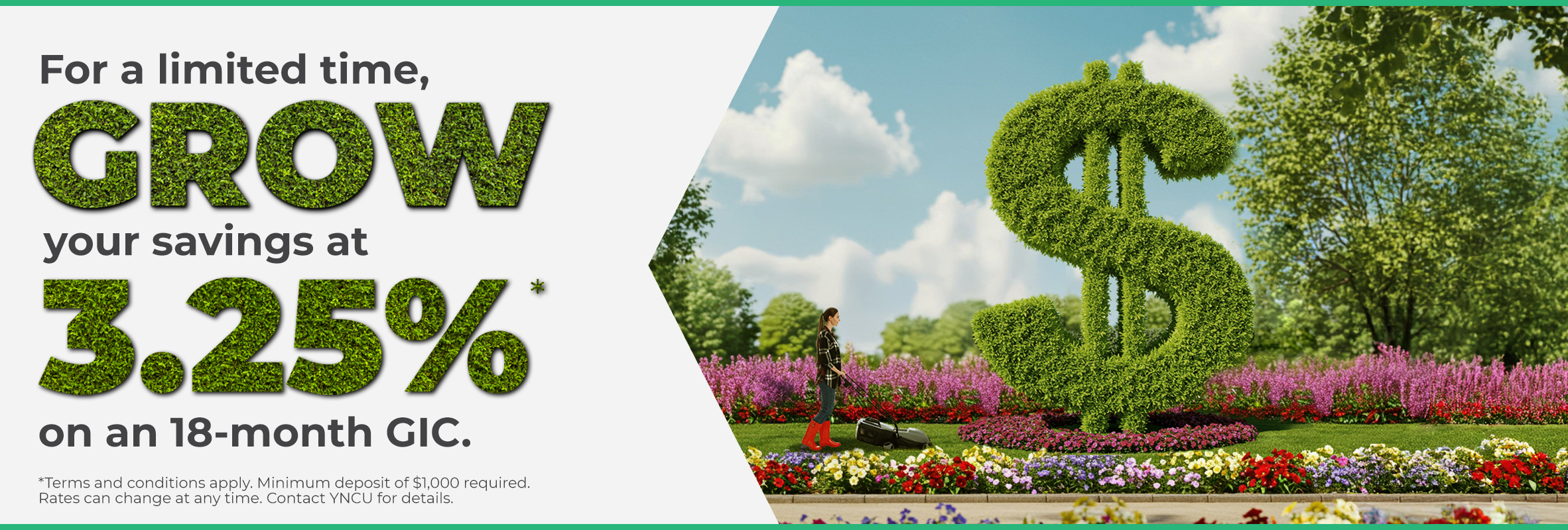 hedge cut into a dollar sign in a garden
