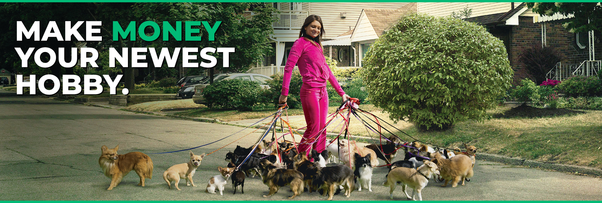 woman walking dogs