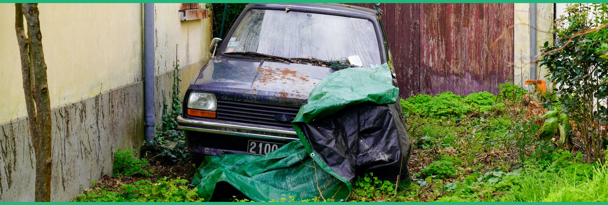 banner-buying-a-car 2x.jpg