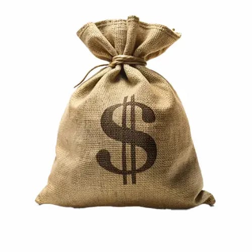 money bag