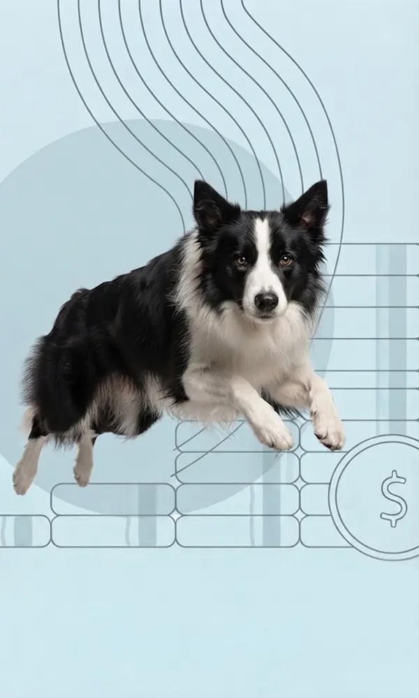 Dog-jump-illustrated-background