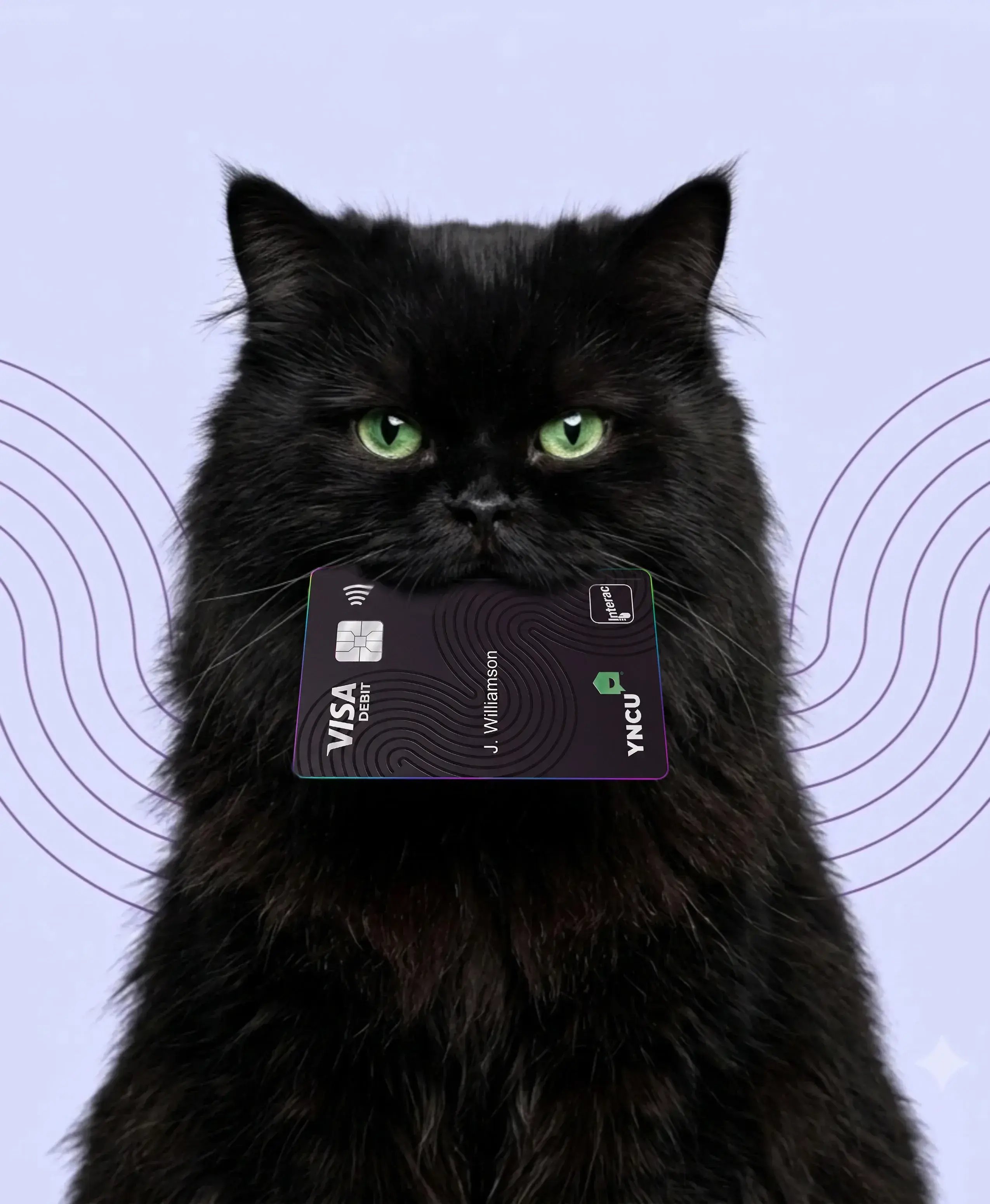 black-cat-card