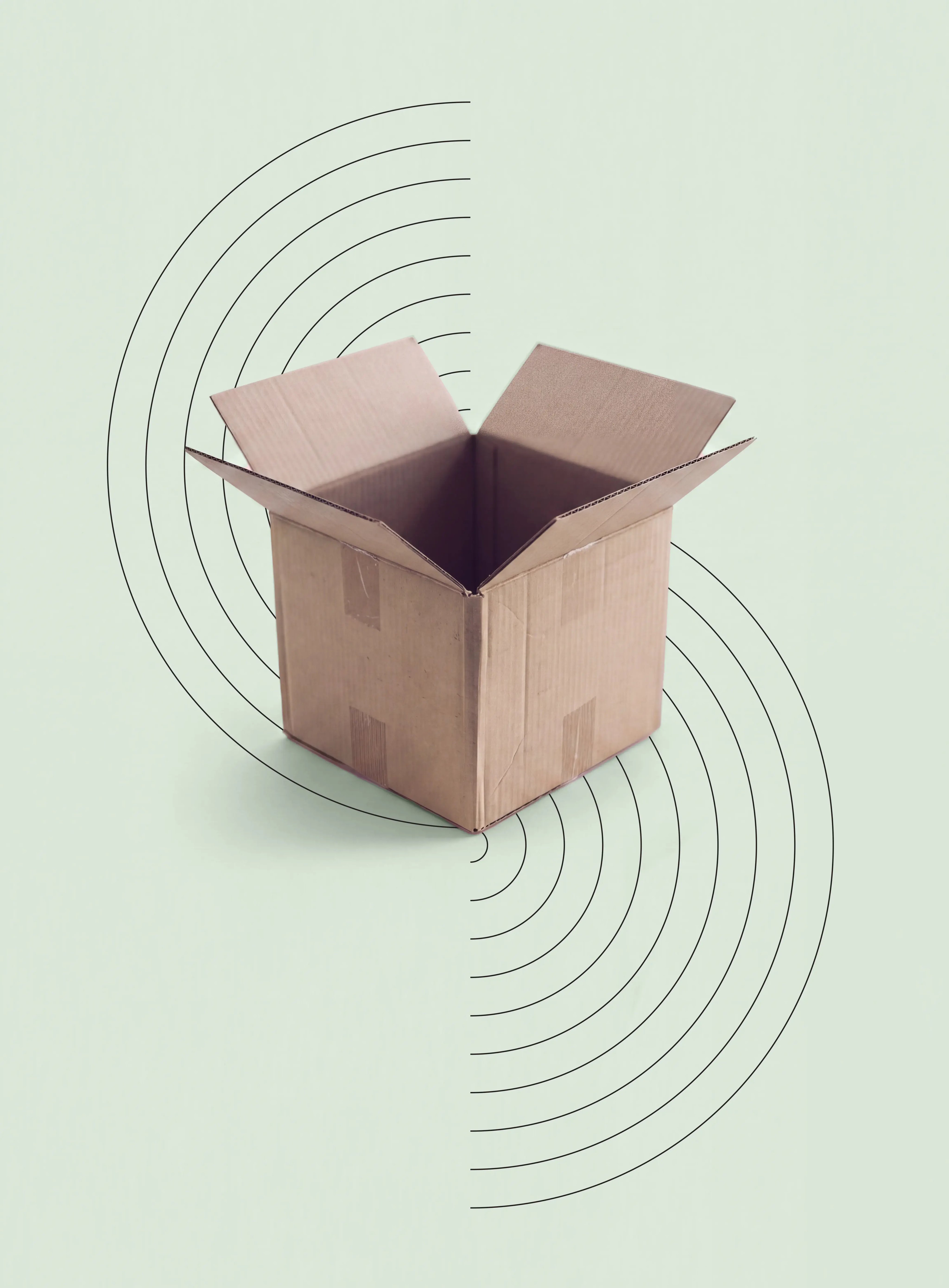 A brown cardboard box on a green background with geometric designs