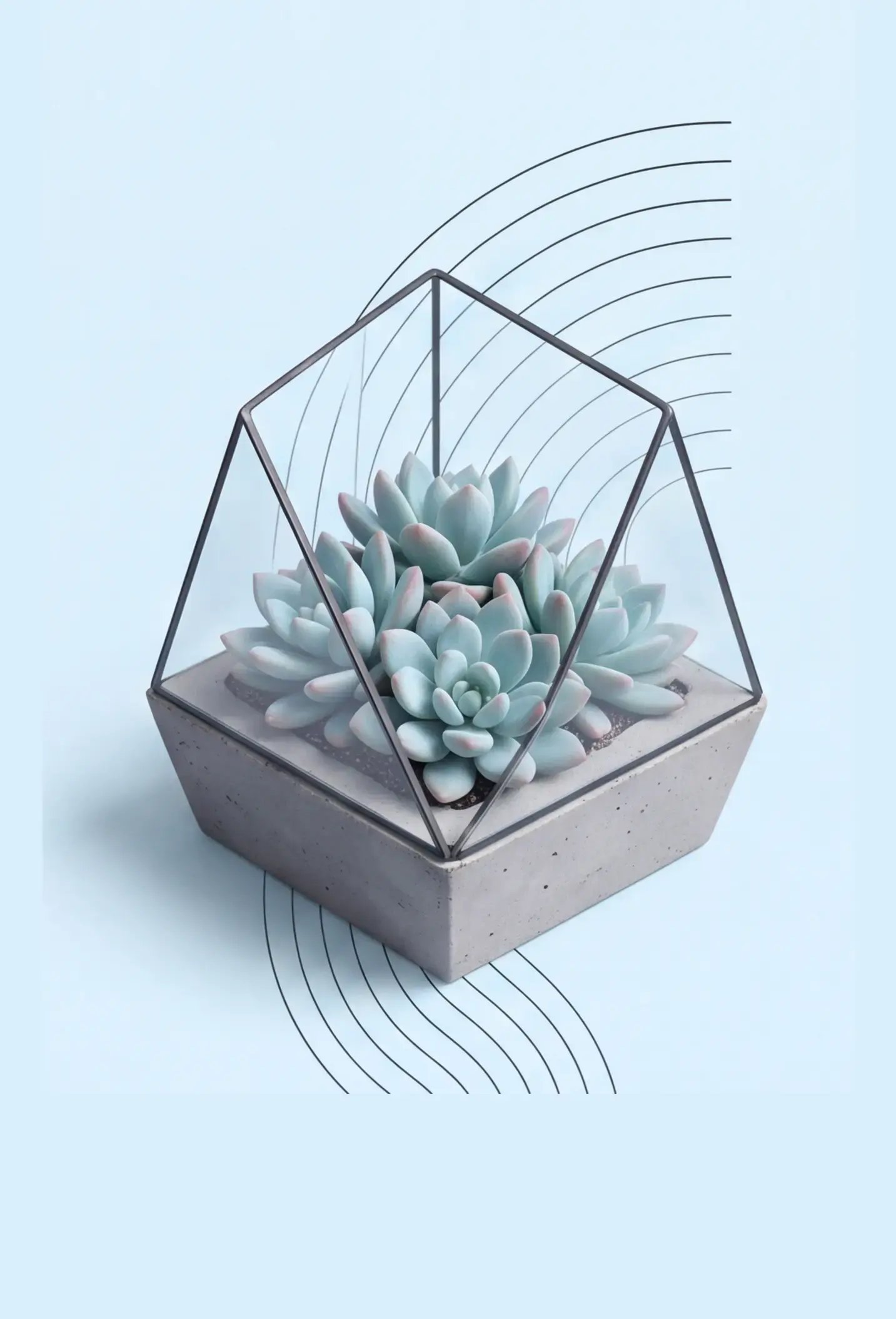 A plant on a blue background with geometric designs