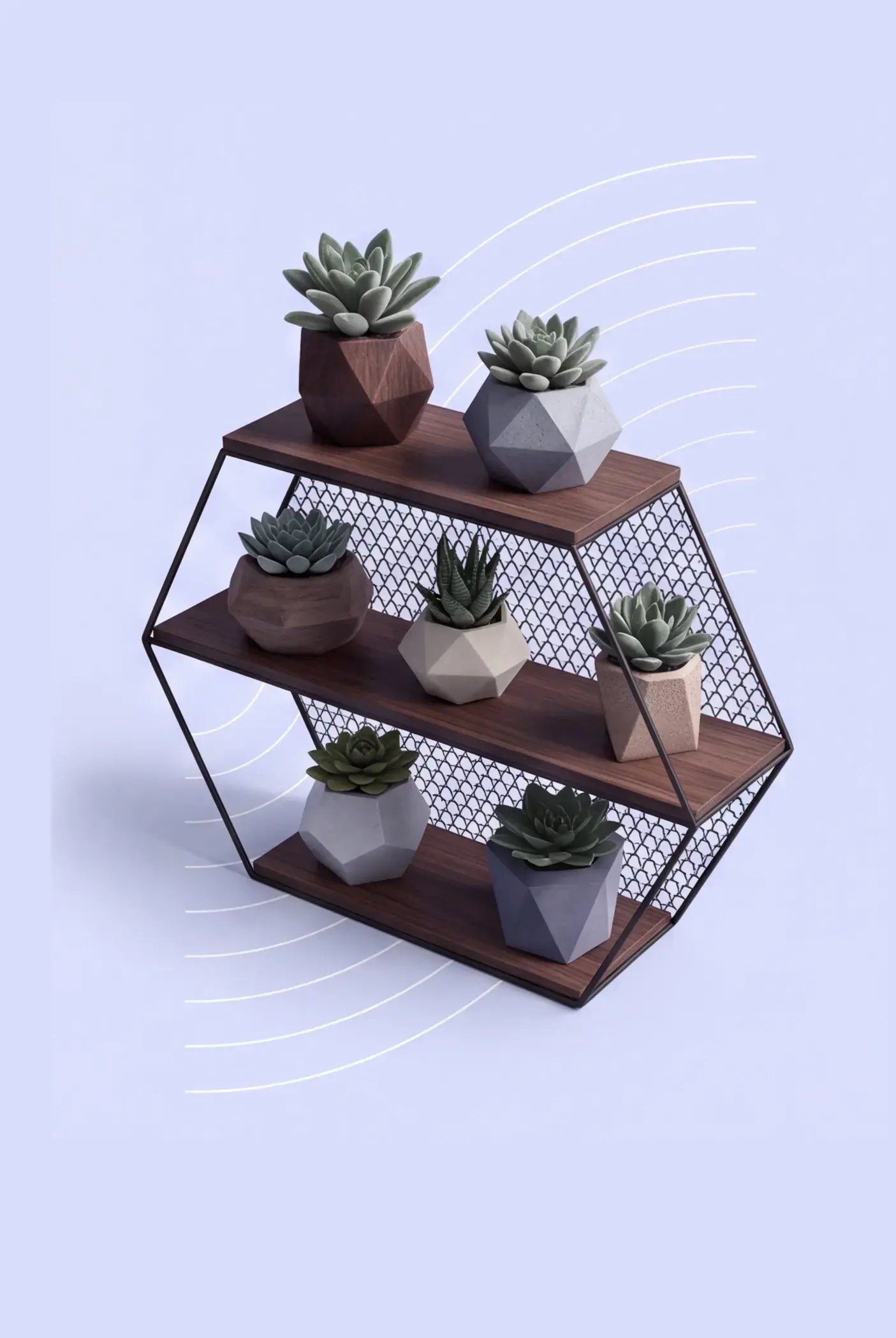 A plant shelf with several plants on it on a blue background with geometric designs