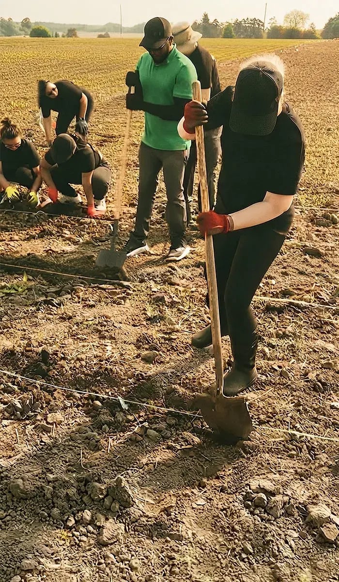 volunteering-in-field