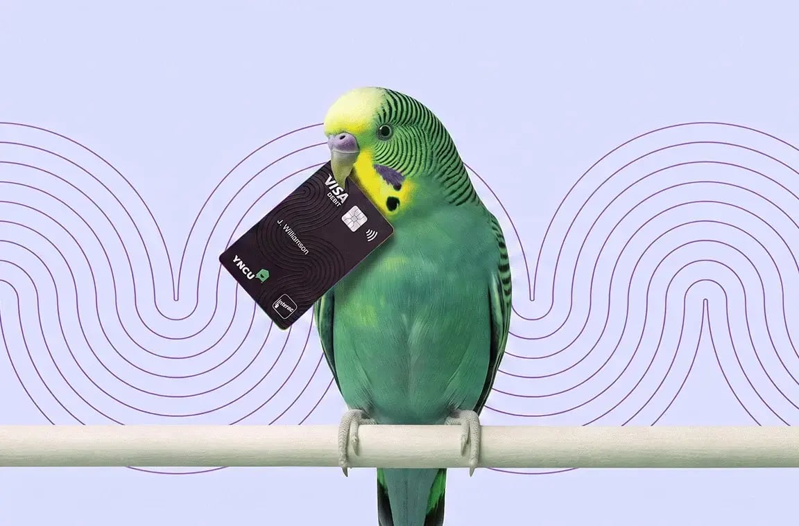 Green bird perched on a white stick holding a YNCU Visa Debit card in its mouth